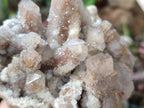 Natural Limonite Fairy Spirit Quartz Clusters with Inclusions  x 4 From Boekenhouthoek, South Africa - Toprock Gemstones and Minerals 