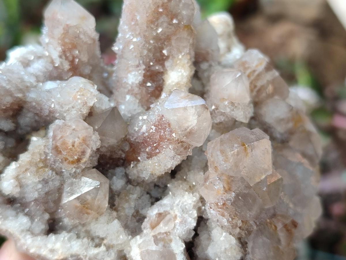 Natural Limonite Fairy Spirit Quartz Clusters with Inclusions  x 4 From Boekenhouthoek, South Africa - Toprock Gemstones and Minerals 