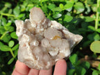 Natural Limonite Fairy Spirit Quartz Clusters with Inclusions  x 4 From Boekenhouthoek, South Africa - Toprock Gemstones and Minerals 