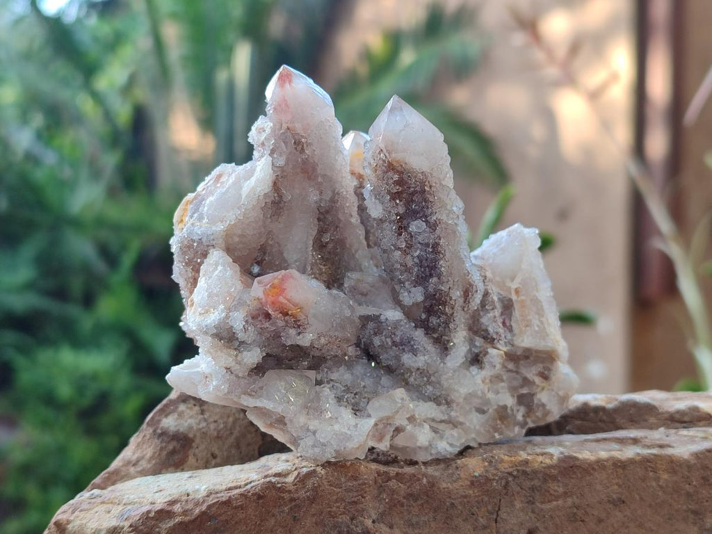 Natural Limonite Fairy Spirit Quartz Clusters with Inclusions  x 4 From Boekenhouthoek, South Africa - Toprock Gemstones and Minerals 