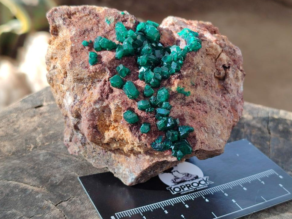 Natural Cabinet Dioptase on Dolomite Specimens x 2 From Likasi, Congo - Toprock Gemstones and Minerals 