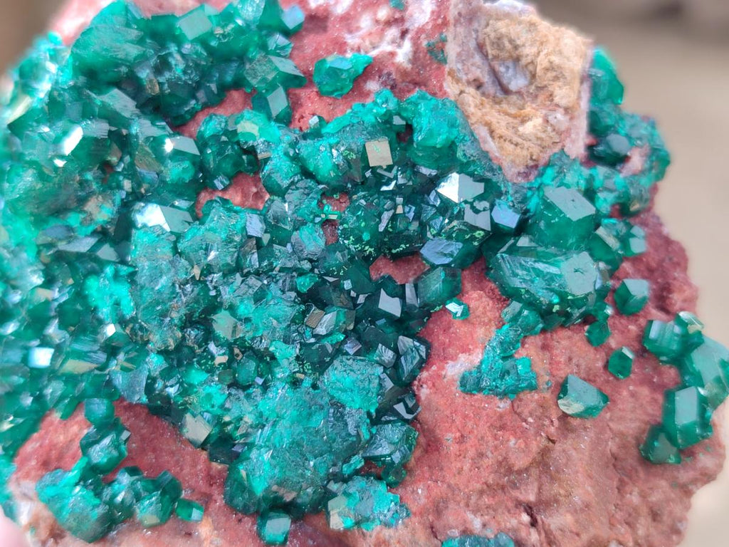 Natural Cabinet Dioptase on Dolomite Specimens x 2 From Likasi, Congo - Toprock Gemstones and Minerals 