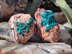 Natural Cabinet Dioptase on Dolomite Specimens x 2 From Likasi, Congo - Toprock Gemstones and Minerals 