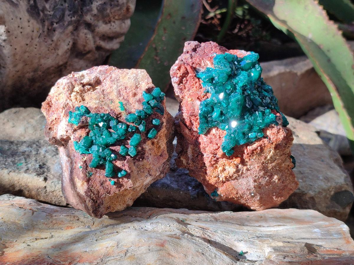 Natural Cabinet Dioptase on Dolomite Specimens x 2 From Likasi, Congo - Toprock Gemstones and Minerals 