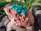 Natural Cabinet Dioptase on Dolomite Specimens x 2 From Likasi, Congo - Toprock Gemstones and Minerals 
