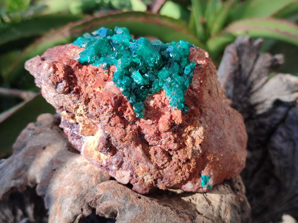 Natural Cabinet Dioptase on Dolomite Specimens x 2 From Likasi, Congo - Toprock Gemstones and Minerals 