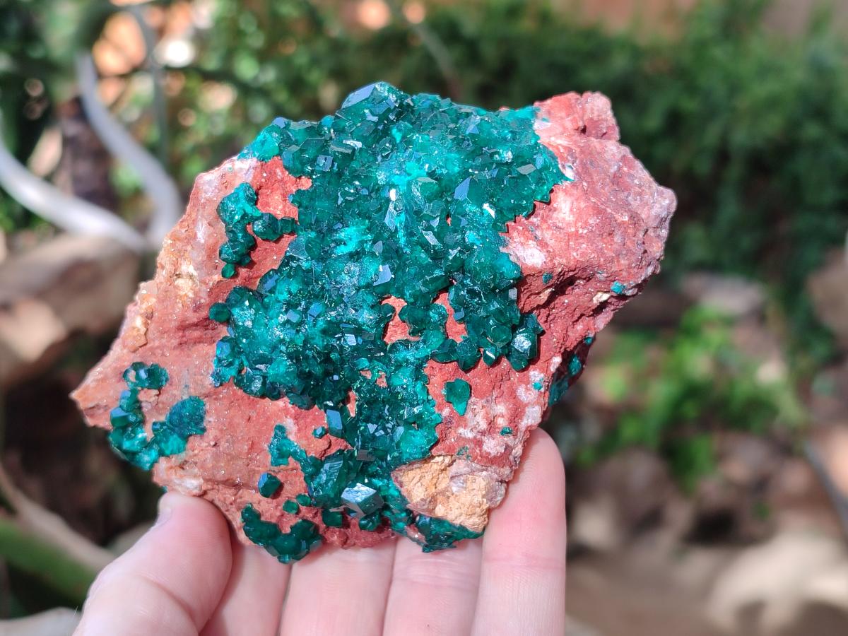 Natural Cabinet Dioptase on Dolomite Specimens x 2 From Likasi, Congo - Toprock Gemstones and Minerals 