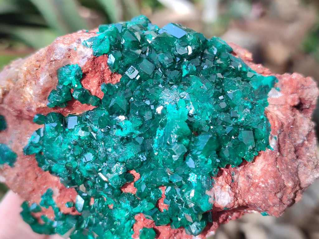 Natural Cabinet Dioptase on Dolomite Specimens x 2 From Likasi, Congo - Toprock Gemstones and Minerals 