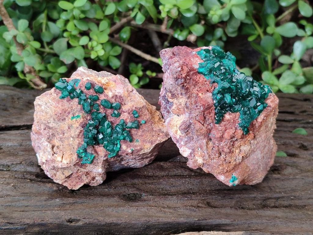 Natural Cabinet Dioptase on Dolomite Specimens x 2 From Likasi, Congo - Toprock Gemstones and Minerals 