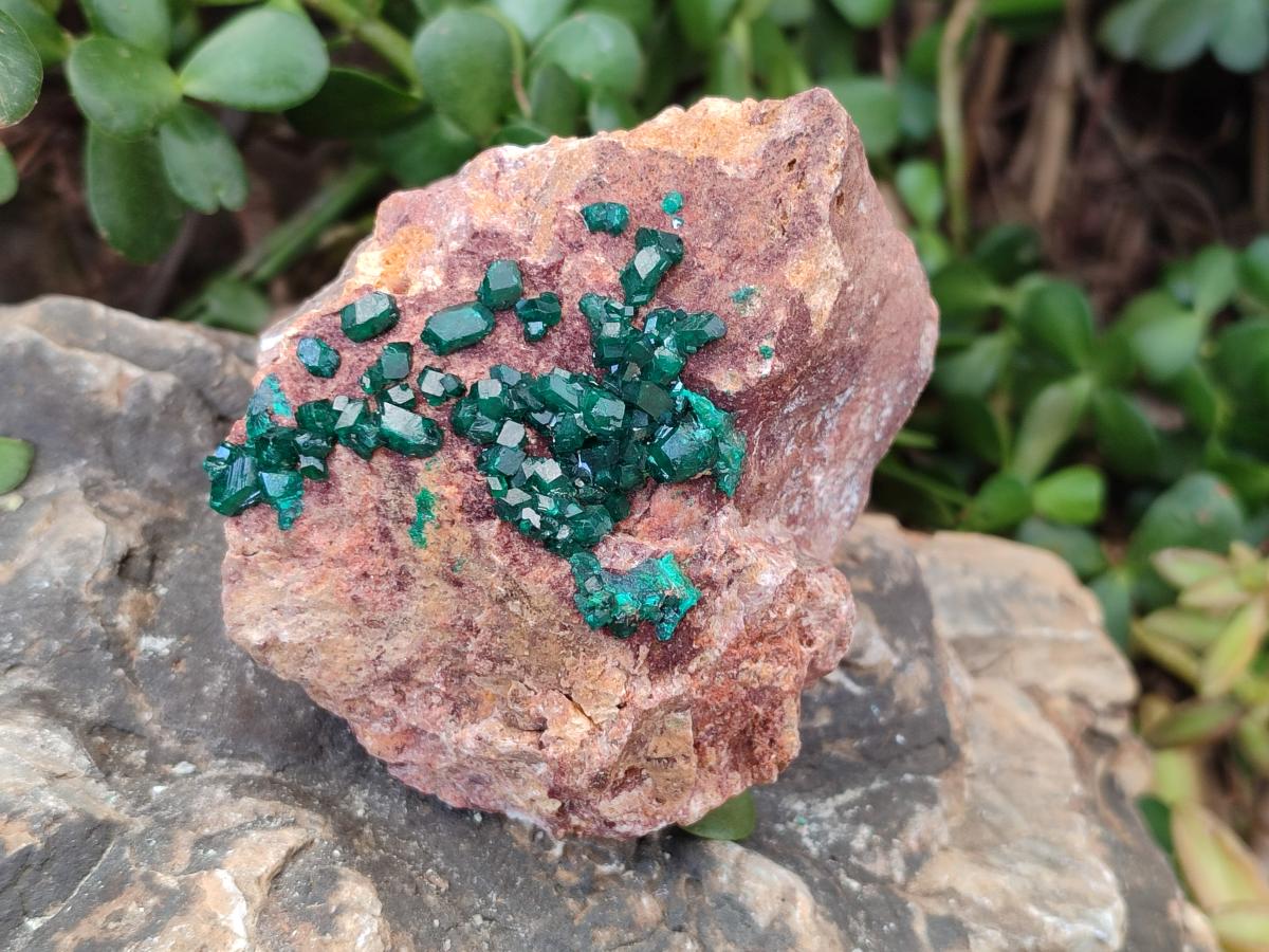 Natural Cabinet Dioptase on Dolomite Specimens x 2 From Likasi, Congo - Toprock Gemstones and Minerals 