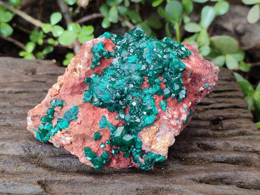 Natural Cabinet Dioptase on Dolomite Specimens x 2 From Likasi, Congo - Toprock Gemstones and Minerals 
