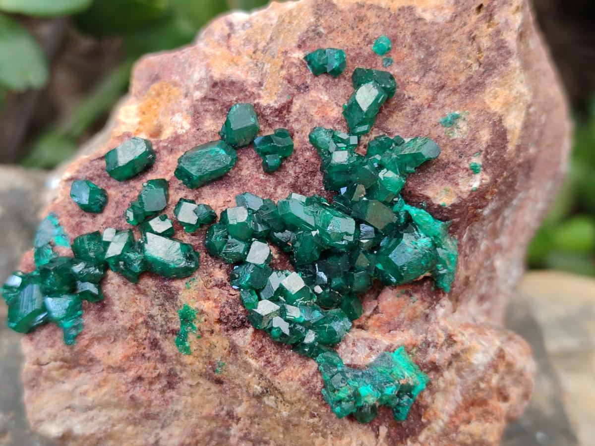 Natural Cabinet Dioptase on Dolomite Specimens x 2 From Likasi, Congo - Toprock Gemstones and Minerals 