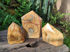 Polished Picture Stone Jasper Display Crystals x 3 From Ais-Ais, Namibia - Toprock Gemstones and Minerals 
