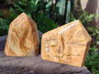Polished Picture Stone Jasper Display Crystals x 3 From Ais-Ais, Namibia - Toprock Gemstones and Minerals 
