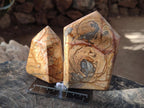 Polished Picture Stone Jasper Display Crystals x 3 From Ais-Ais, Namibia - Toprock Gemstones and Minerals 