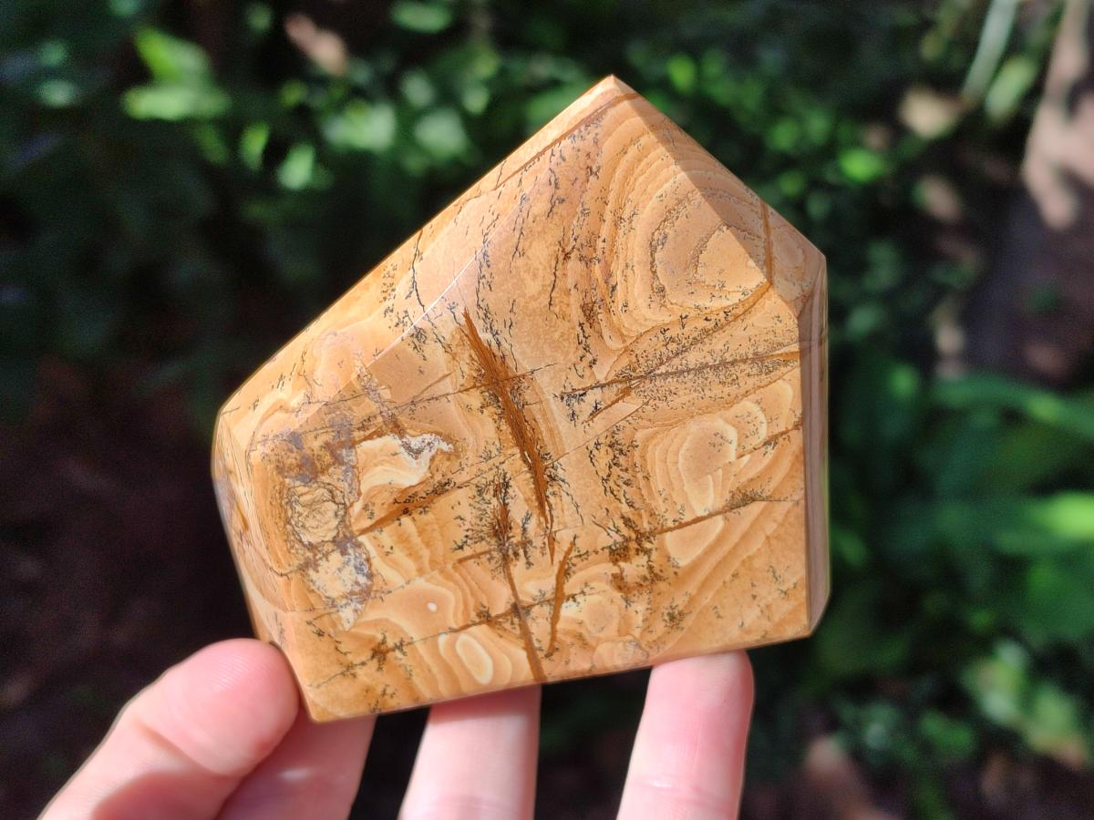 Polished Picture Stone Jasper Display Crystals x 3 From Ais-Ais, Namibia - Toprock Gemstones and Minerals 