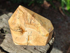 Polished Picture Stone Jasper Display Crystals x 3 From Ais-Ais, Namibia - Toprock Gemstones and Minerals 