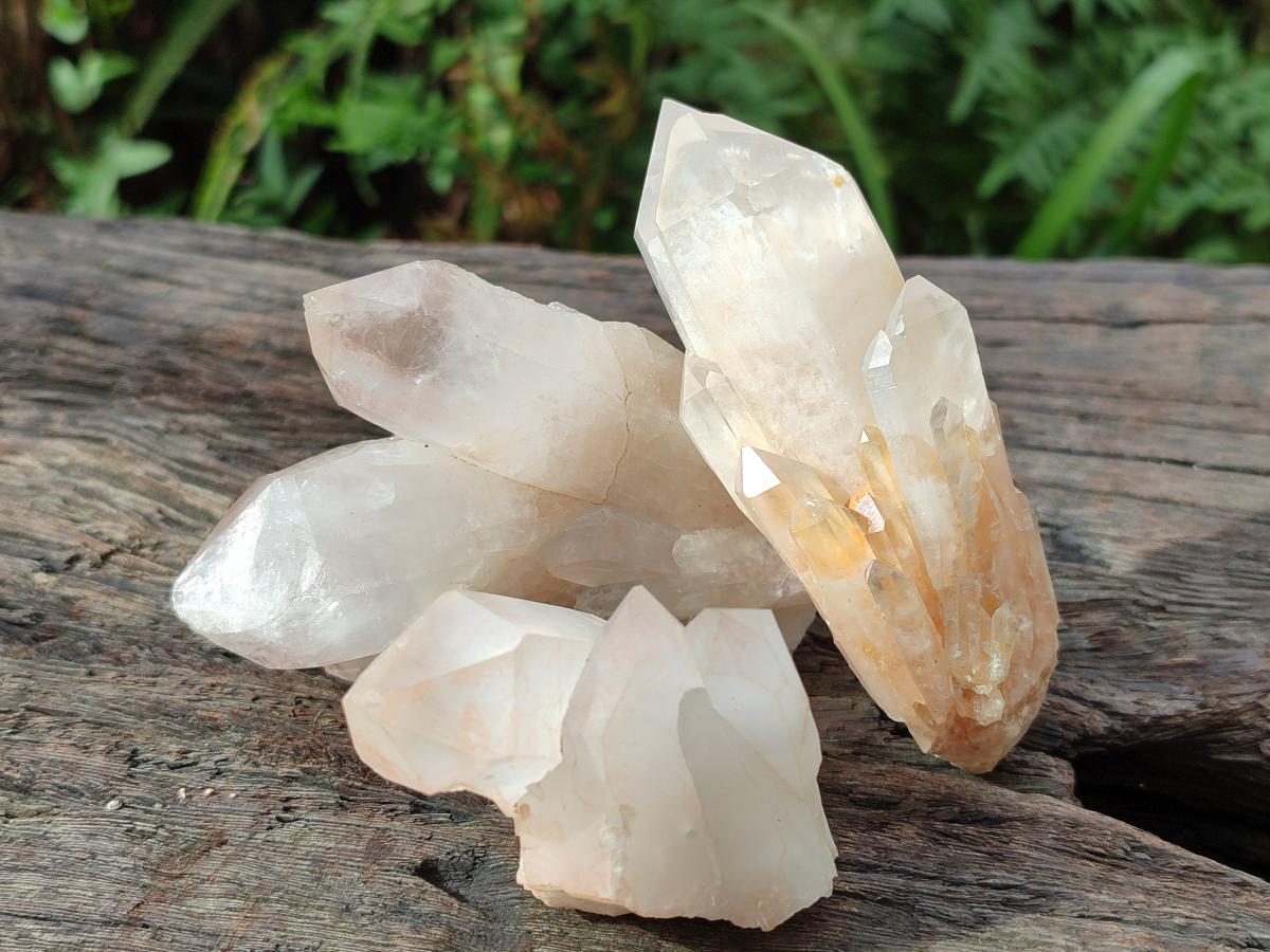 Natural Malagasy Quartz Clusters x 14 From Madagascar - Toprock Gemstones and Minerals 