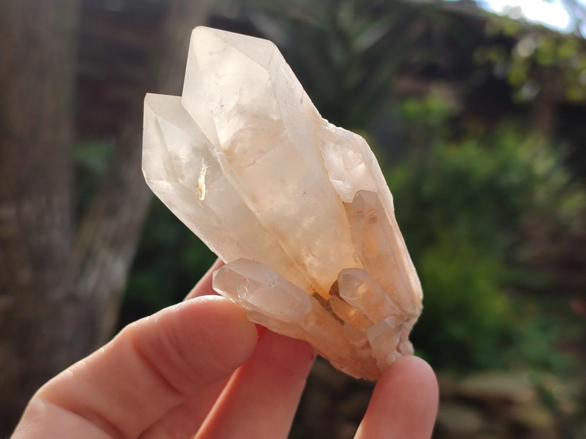 Natural Malagasy Quartz Clusters x 14 From Madagascar - Toprock Gemstones and Minerals 