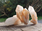 Natural Malagasy Quartz Clusters x 14 From Madagascar - Toprock Gemstones and Minerals 