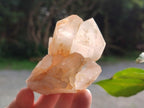 Natural Malagasy Quartz Clusters x 14 From Madagascar - Toprock Gemstones and Minerals 