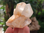 Natural Malagasy Quartz Clusters x 14 From Madagascar - Toprock Gemstones and Minerals 