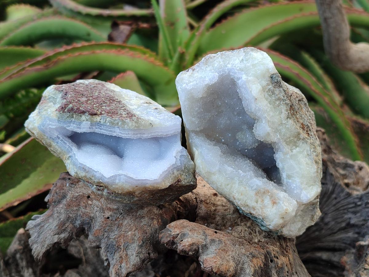Natural Blue Lace Agate Geode Specimens x 12 From Nsanje, Malawi - Toprock Gemstones and Minerals 