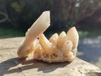 Natural Small White Fairy Spirit Quartz Crystals and Clusters x 35 From Boekenhouthoek, South Africa - Toprock Gemstones and Minerals 
