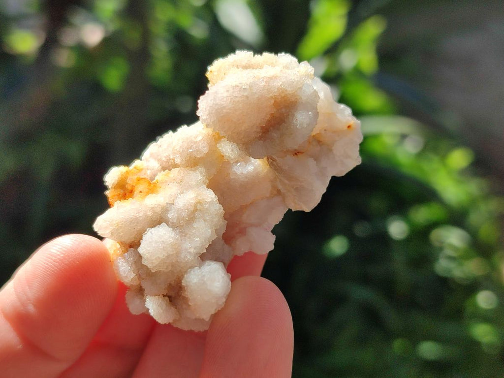 Natural Small White Fairy Spirit Quartz Crystals and Clusters x 35 From Boekenhouthoek, South Africa - Toprock Gemstones and Minerals 
