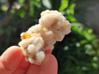 Natural Small White Fairy Spirit Quartz Crystals and Clusters x 35 From Boekenhouthoek, South Africa - Toprock Gemstones and Minerals 
