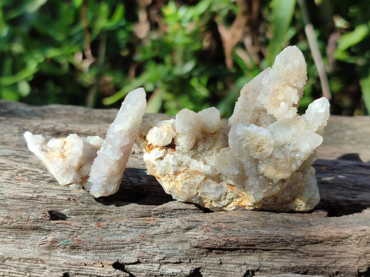 Natural Small White Fairy Spirit Quartz Crystals and Clusters x 35 From Boekenhouthoek, South Africa - Toprock Gemstones and Minerals 