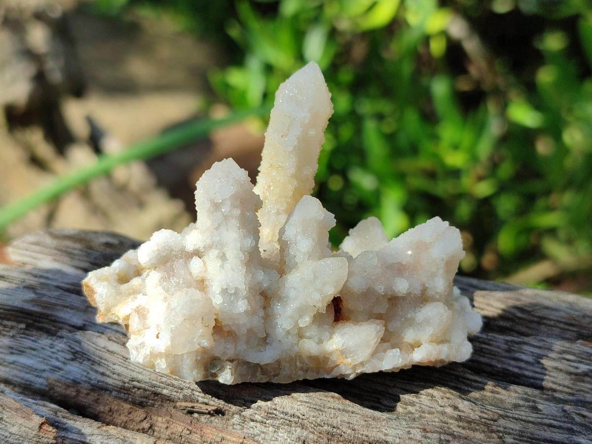 Natural Small White Fairy Spirit Quartz Crystals and Clusters x 35 From Boekenhouthoek, South Africa - Toprock Gemstones and Minerals 