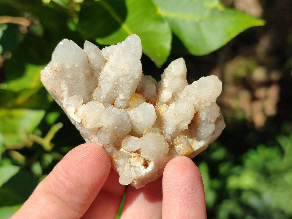 Natural Small White Fairy Spirit Quartz Crystals and Clusters x 35 From Boekenhouthoek, South Africa - Toprock Gemstones and Minerals 
