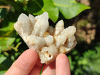 Natural Small White Fairy Spirit Quartz Crystals and Clusters x 35 From Boekenhouthoek, South Africa - Toprock Gemstones and Minerals 