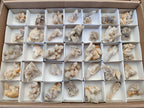 Natural Small White Fairy Spirit Quartz Crystals and Clusters x 35 From Boekenhouthoek, South Africa - Toprock Gemstones and Minerals 