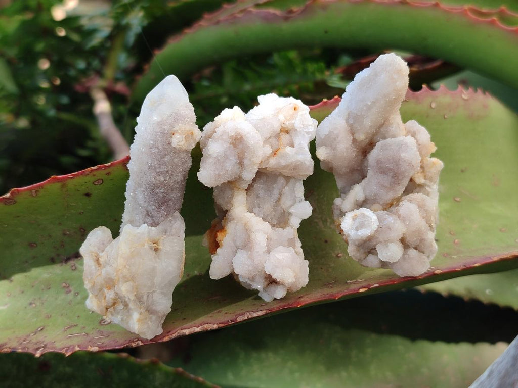 Natural Small White Fairy Spirit Quartz Crystals and Clusters x 35 From Boekenhouthoek, South Africa - Toprock Gemstones and Minerals 