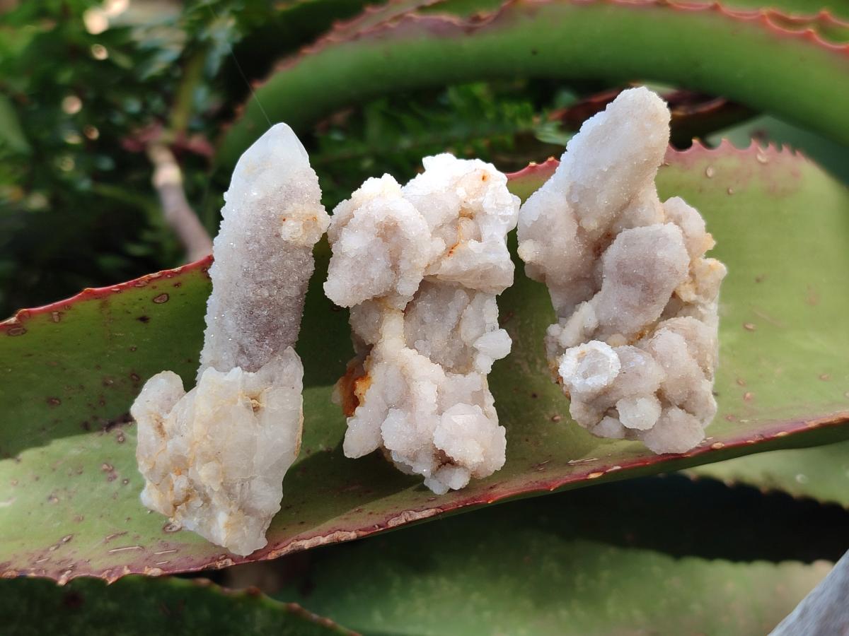 Natural Small White Fairy Spirit Quartz Crystals and Clusters x 35 From Boekenhouthoek, South Africa - Toprock Gemstones and Minerals 