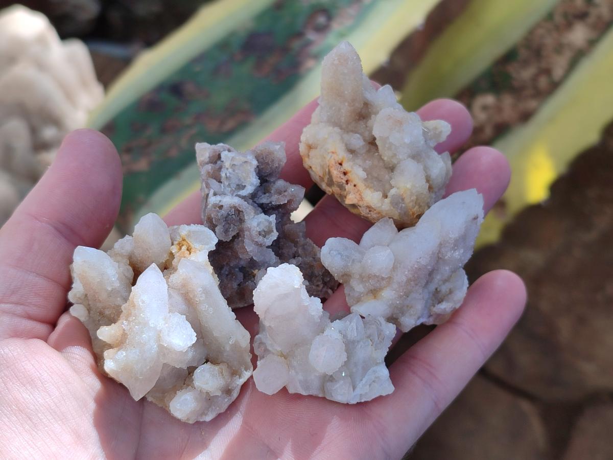 Natural Small White Fairy Spirit Quartz Crystals and Clusters x 35 From Boekenhouthoek, South Africa - Toprock Gemstones and Minerals 