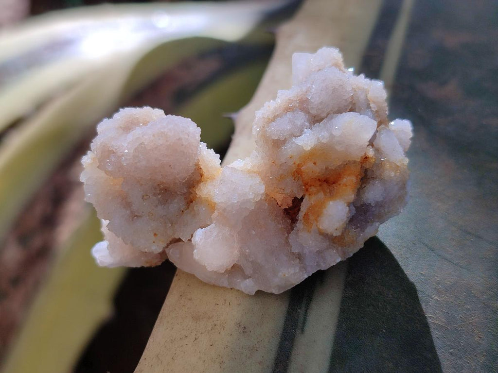Natural Small White Fairy Spirit Quartz Crystals and Clusters x 35 From Boekenhouthoek, South Africa - Toprock Gemstones and Minerals 