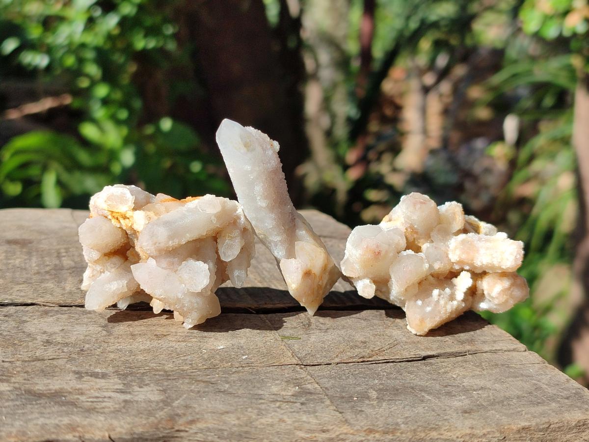 Natural Small White Fairy Spirit Quartz Crystals and Clusters x 35 From Boekenhouthoek, South Africa - Toprock Gemstones and Minerals 
