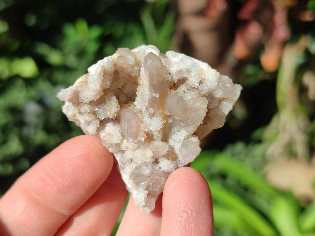 Natural Small White Fairy Spirit Quartz Crystals and Clusters x 35 From Boekenhouthoek, South Africa - Toprock Gemstones and Minerals 