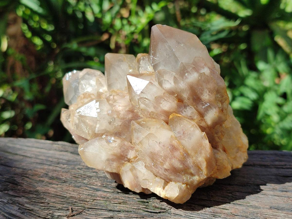 Natural Smokey Phantom Quartz Clusters x 2 From Luena, Congo - Toprock Gemstones and Minerals 