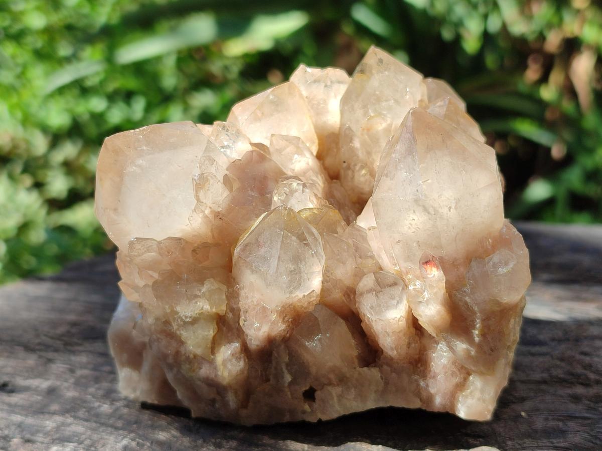 Natural Smokey Phantom Quartz Clusters x 2 From Luena, Congo - Toprock Gemstones and Minerals 