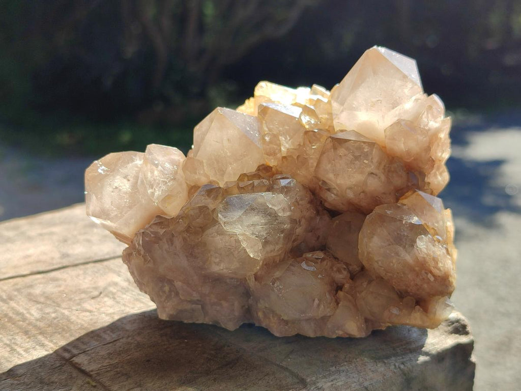 Natural Smokey Phantom Quartz Clusters x 2 From Luena, Congo - Toprock Gemstones and Minerals 
