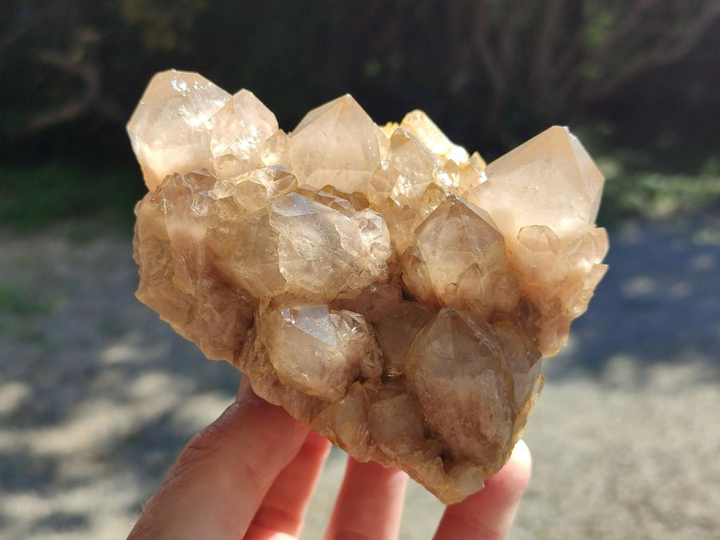 Natural Smokey Phantom Quartz Clusters x 2 From Luena, Congo - Toprock Gemstones and Minerals 