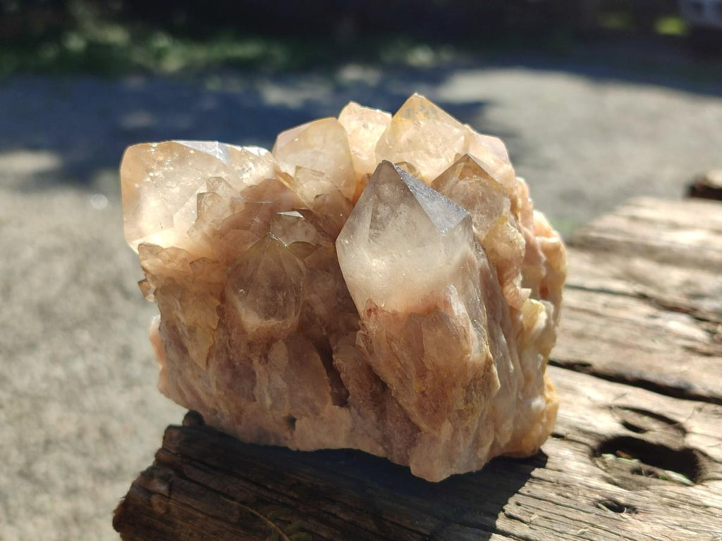 Natural Smokey Phantom Quartz Clusters x 2 From Luena, Congo - Toprock Gemstones and Minerals 