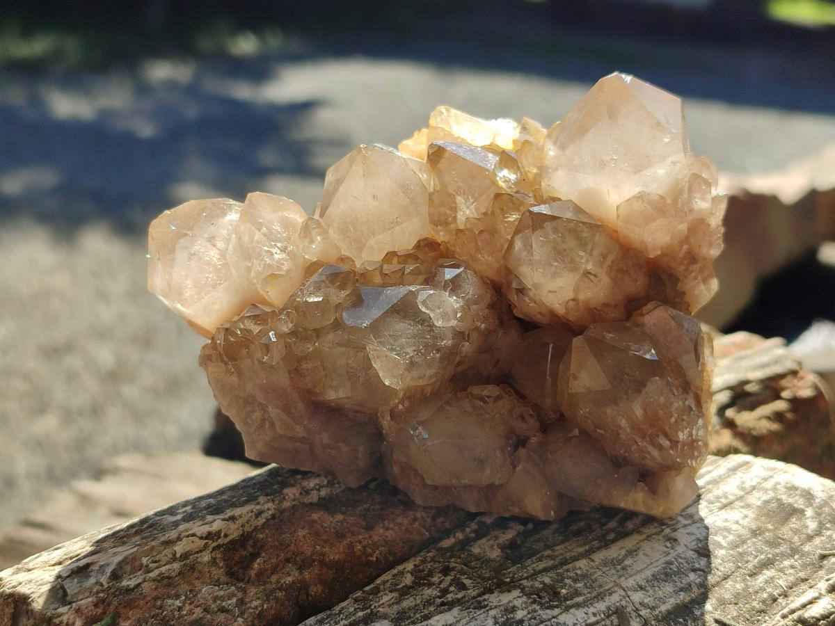 Natural Smokey Phantom Quartz Clusters x 2 From Luena, Congo - Toprock Gemstones and Minerals 