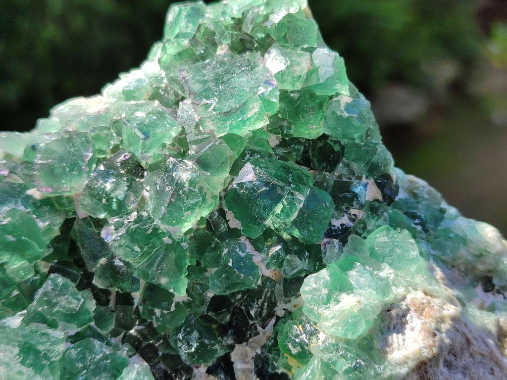 Natural Dark Green and Purple Cubic Fluorite Specimens x 2 From Erongo, Namibia - Toprock Gemstones and Minerals 