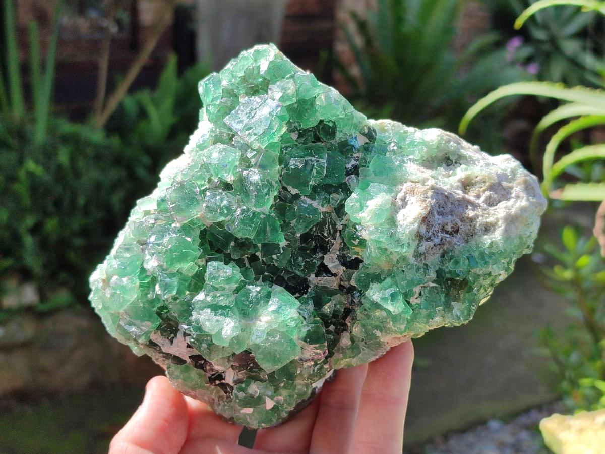 Natural Dark Green and Purple Cubic Fluorite Specimens x 2 From Erongo, Namibia - Toprock Gemstones and Minerals 
