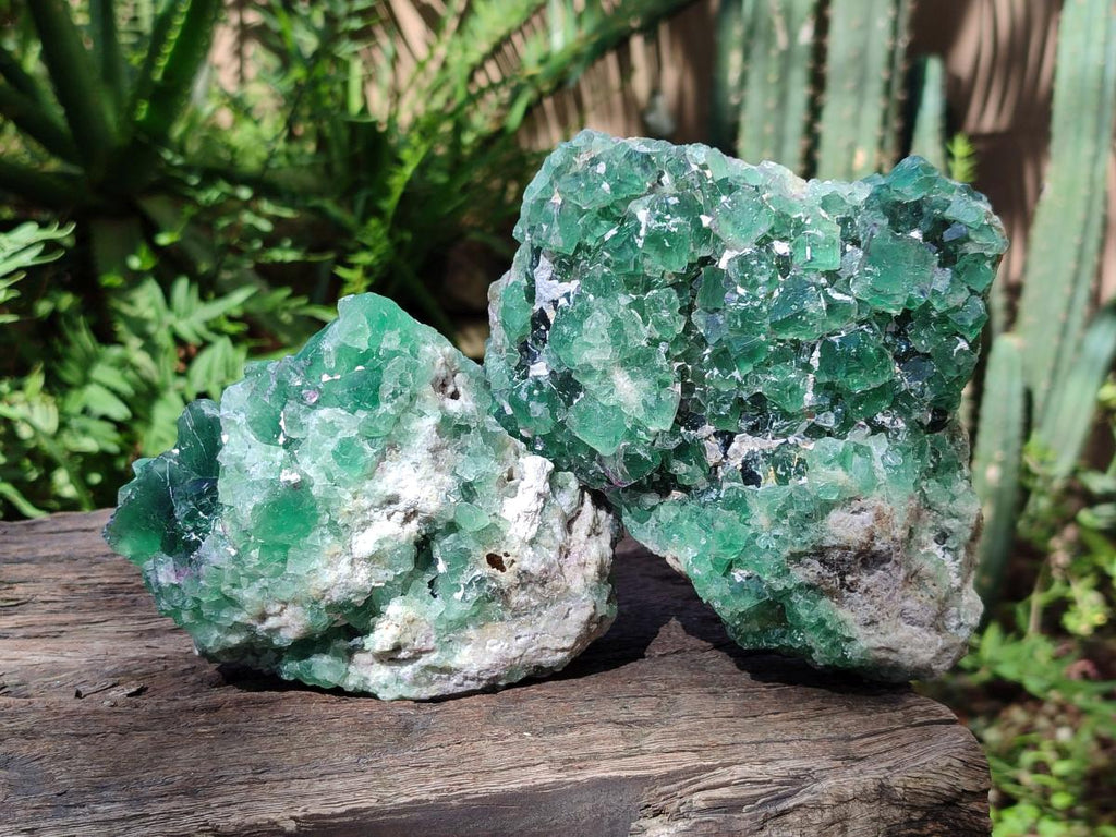 Natural Dark Green and Purple Cubic Fluorite Specimens x 2 From Erongo, Namibia - Toprock Gemstones and Minerals 
